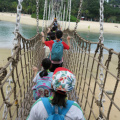 IMG 6656