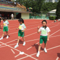 IMG 0281