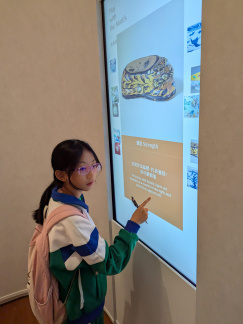 PXL 20241125 034237584.MP