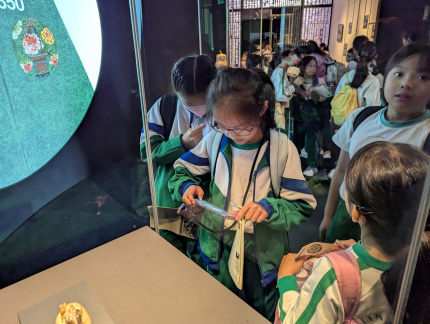 PXL 20241125 022136559.MP