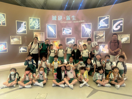 IMG-20250623-WA0054 (1)