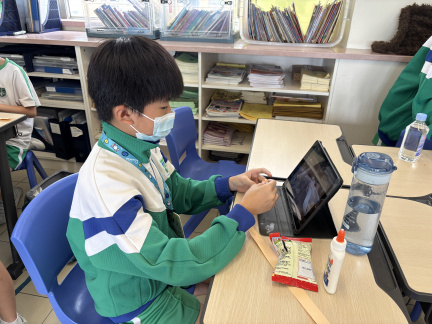 IMG 3382