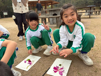 8ccc43a8-bf17-4a26-b4f7-53681d8b4f2b