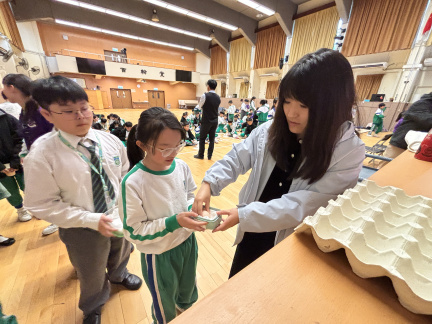 IMG 7417
